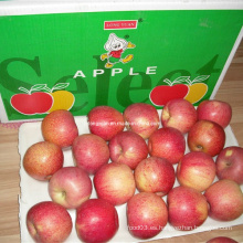 Apple dulce rojo Apple Qinguan